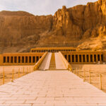 Gallery Thumbnail 4