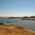 Gallery Thumbnail 4