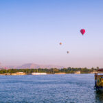 Gallery Thumbnail 5