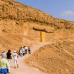 Gallery Thumbnail 2