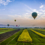 Gallery Thumbnail 3